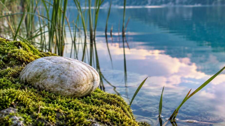 Pietra chiara sul muschio accanto all'acqua calma di un lago